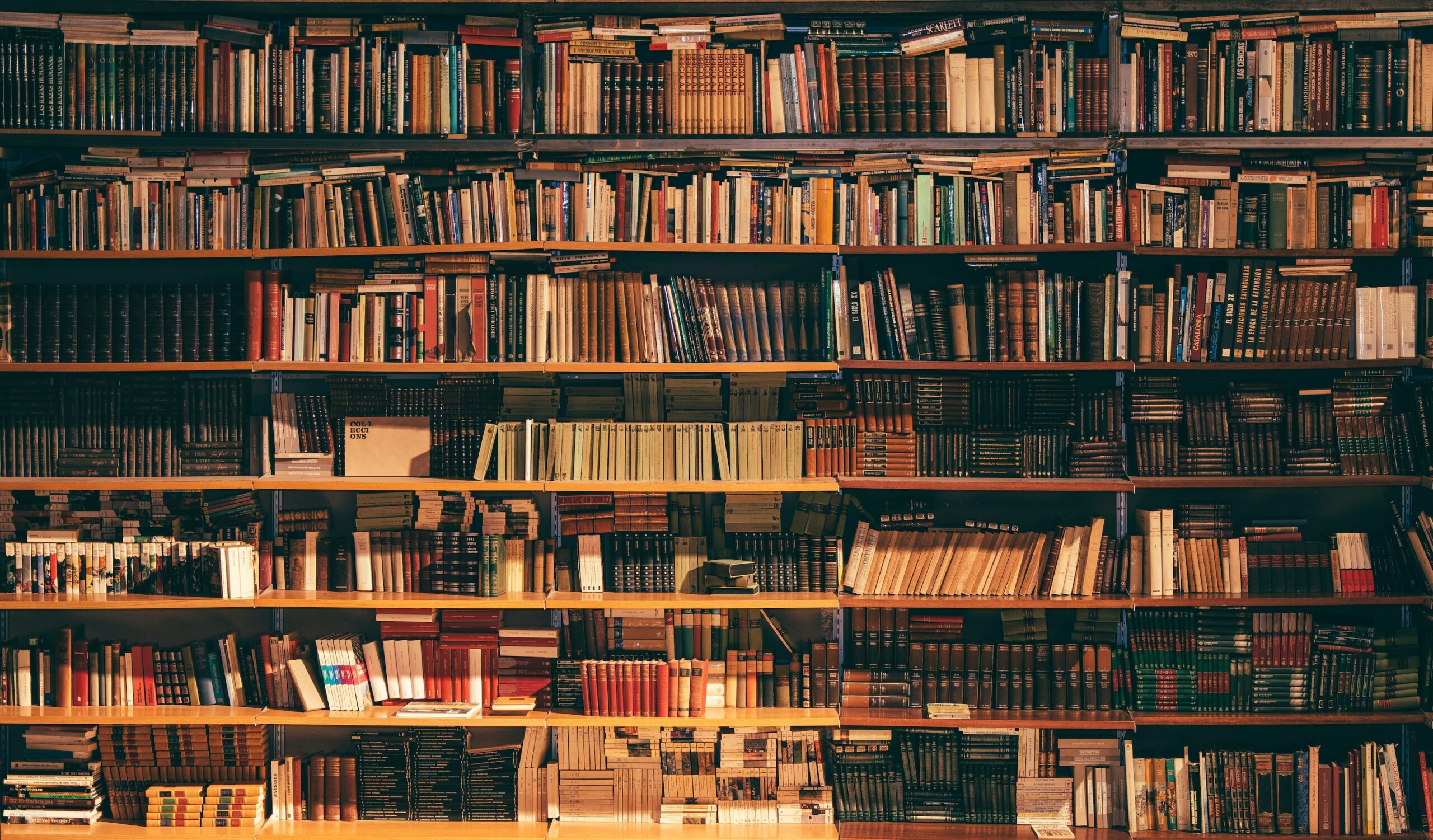 Book Review: E. John Hamlin, At Risk in the Promised Land: A Commentary on the Book of Judges