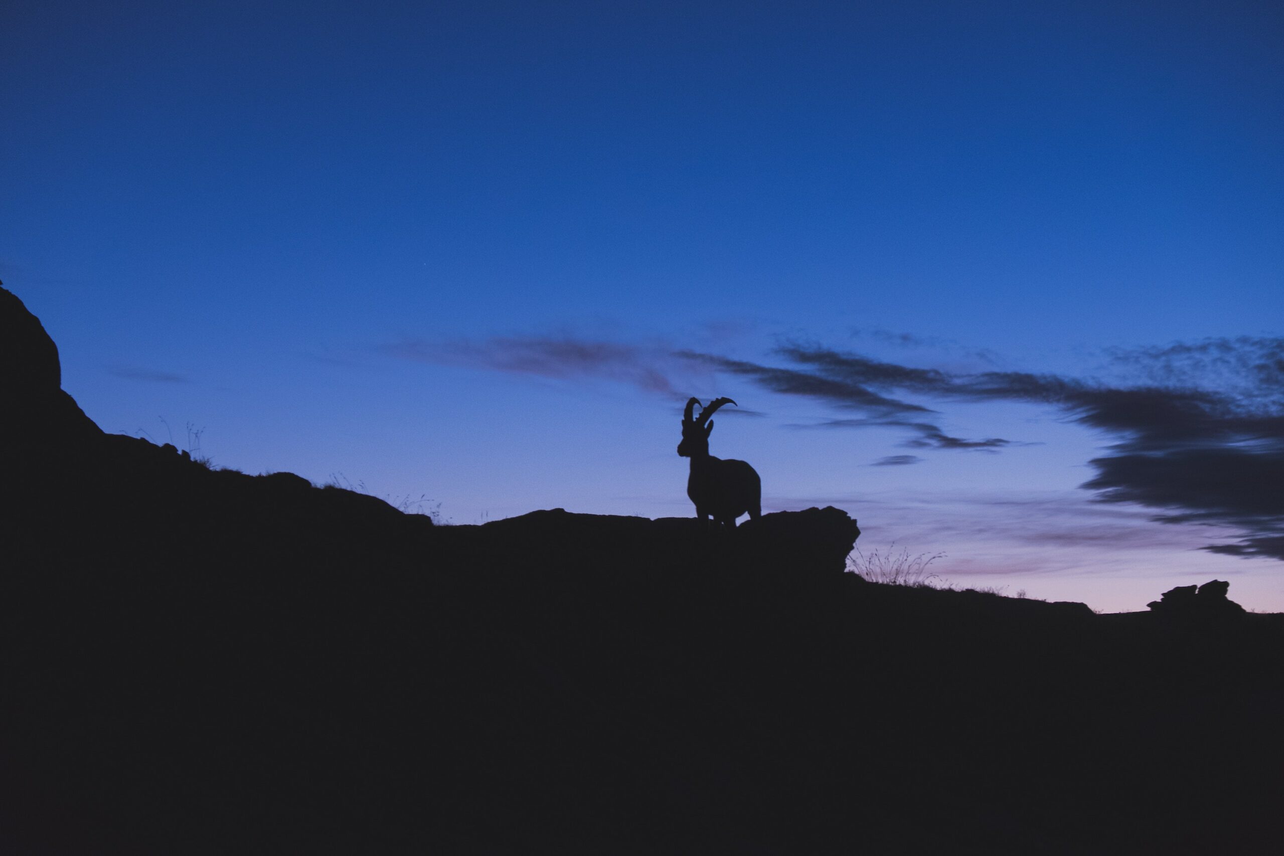 The Lamb of God, (Part 1)