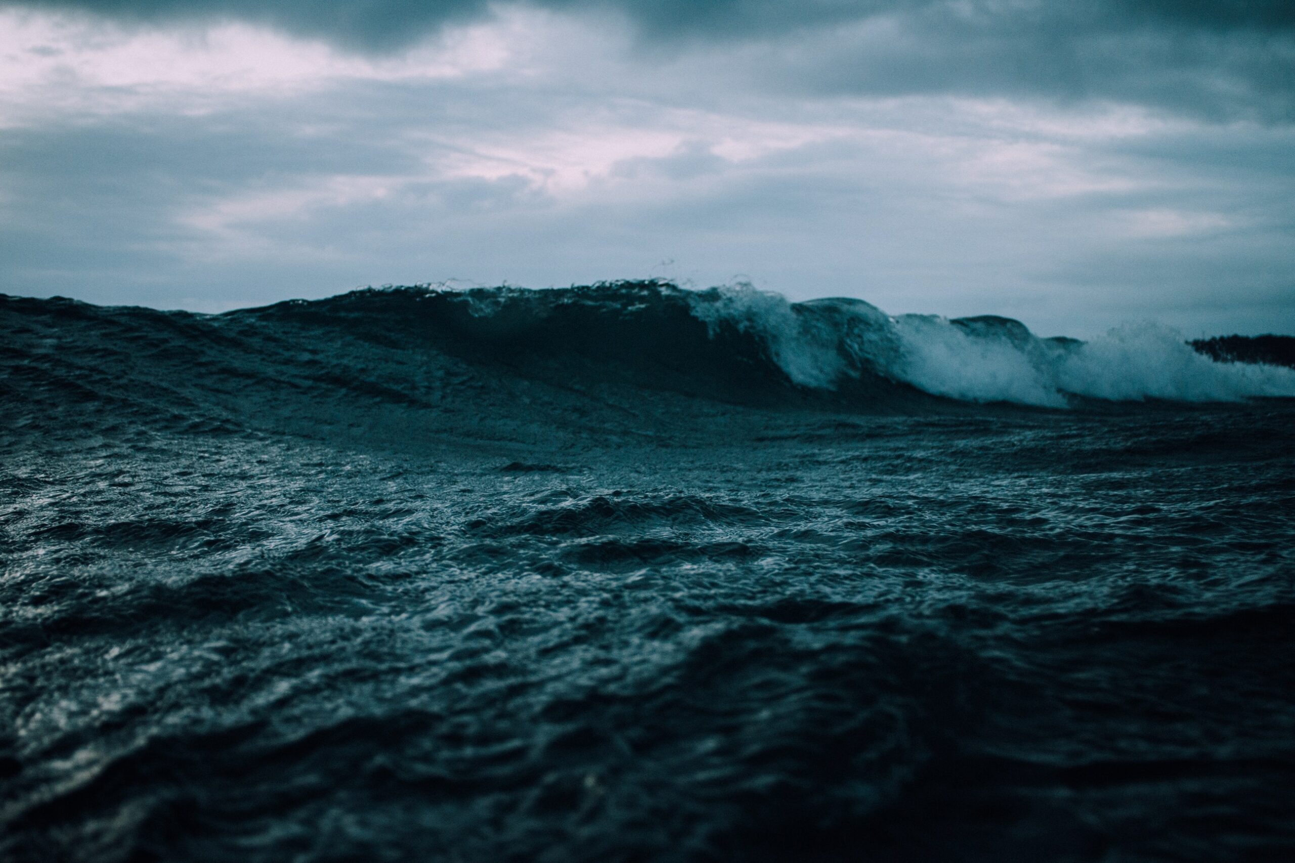 Leviathan and Job, Part 2