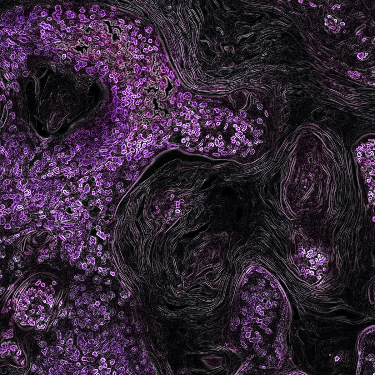 Biology and the Cell
