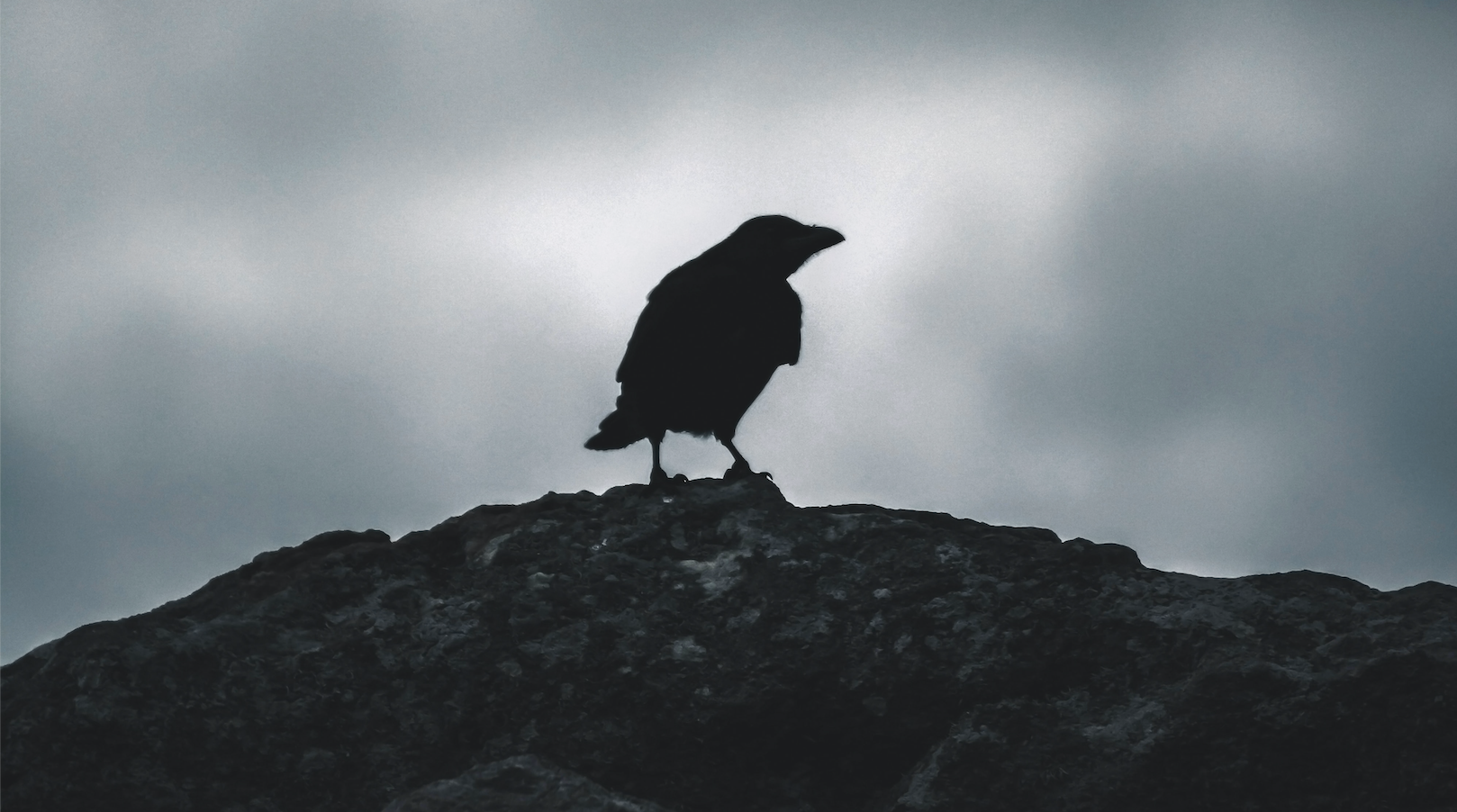 Raven of the Gospel