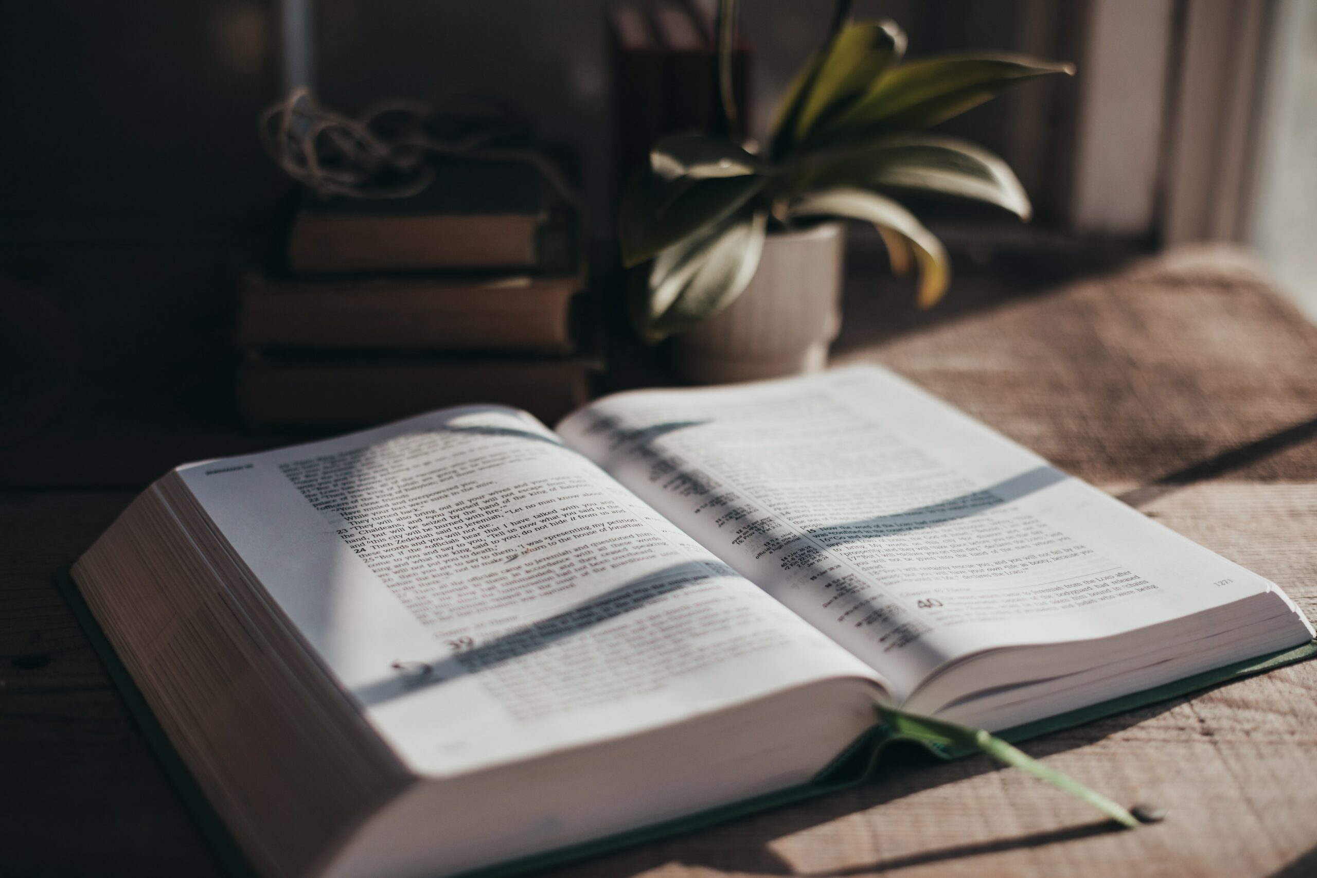 Healing of the Paralytic (Luke 5)