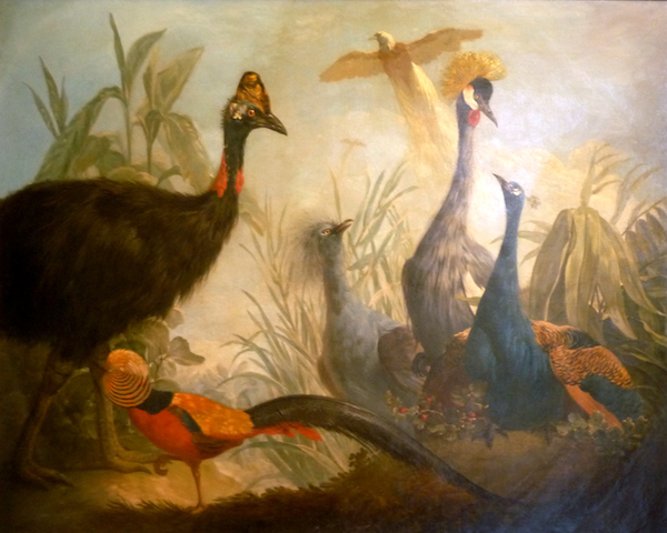 Ornitheology