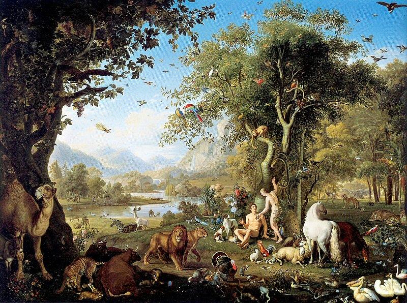 Genesis’ Beginning Story