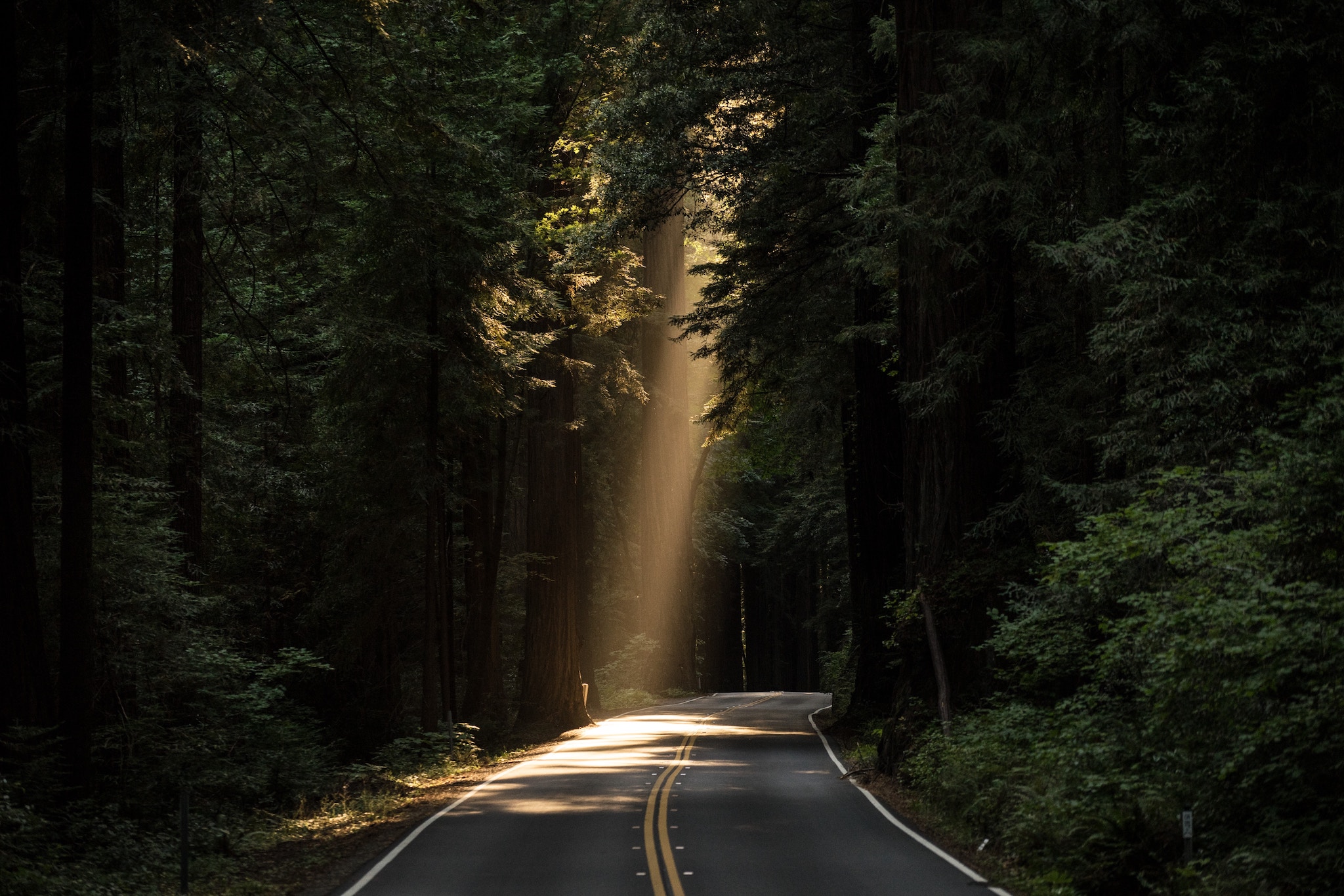 Political Hope in the Negative World (Part 1)