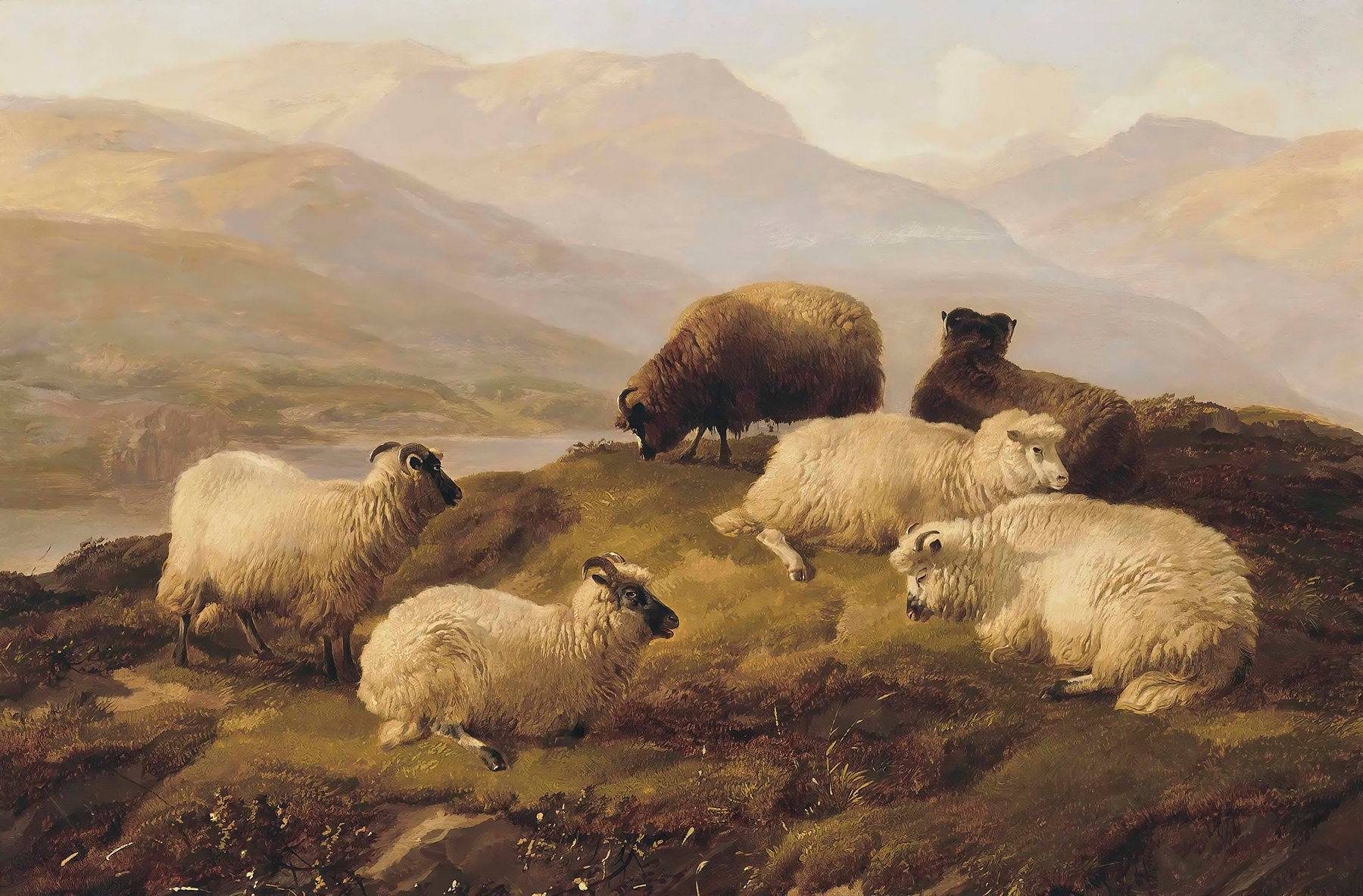 The Counsel of Peace