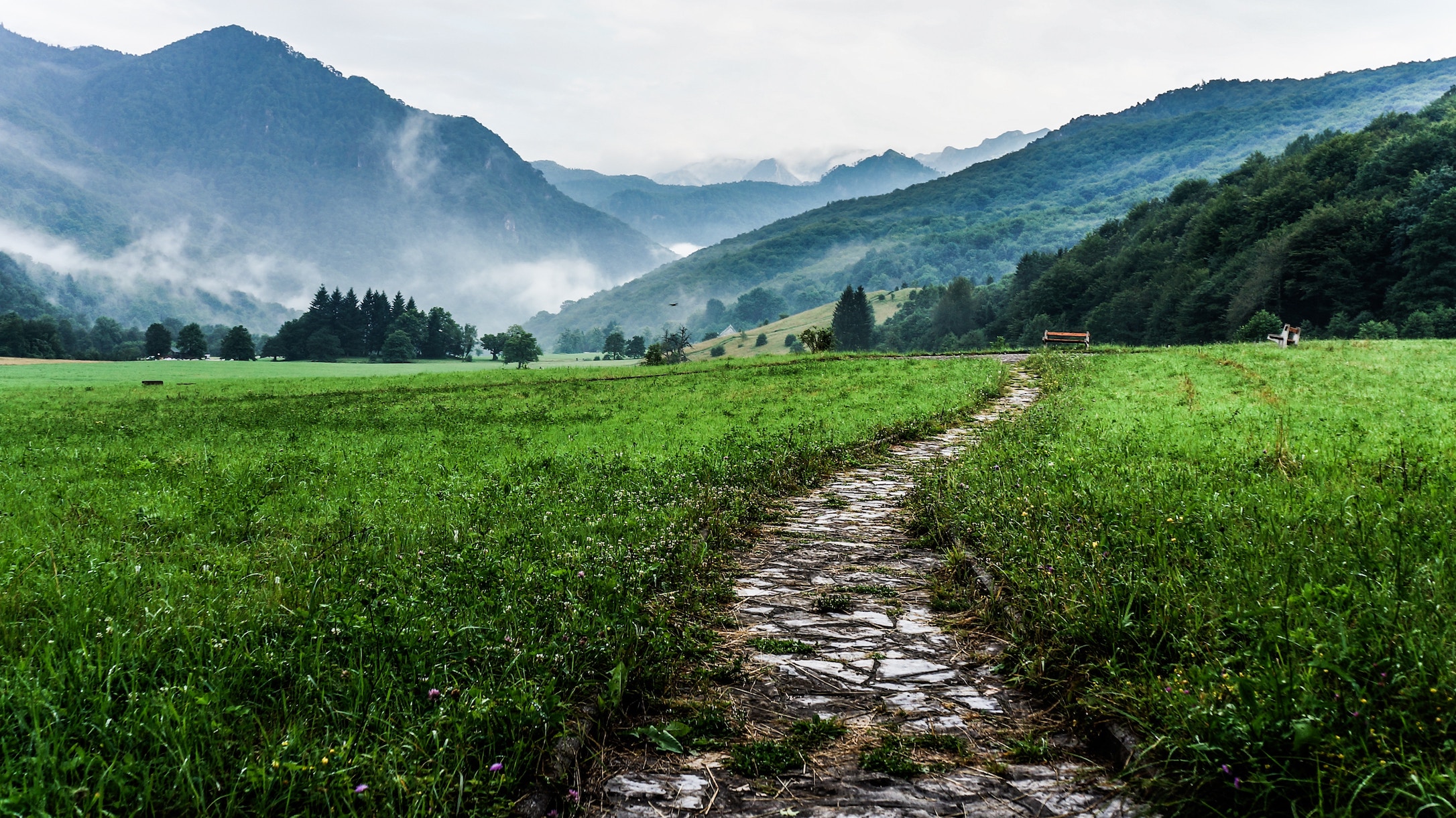 Dynastic Aspirations in the Book of Judges