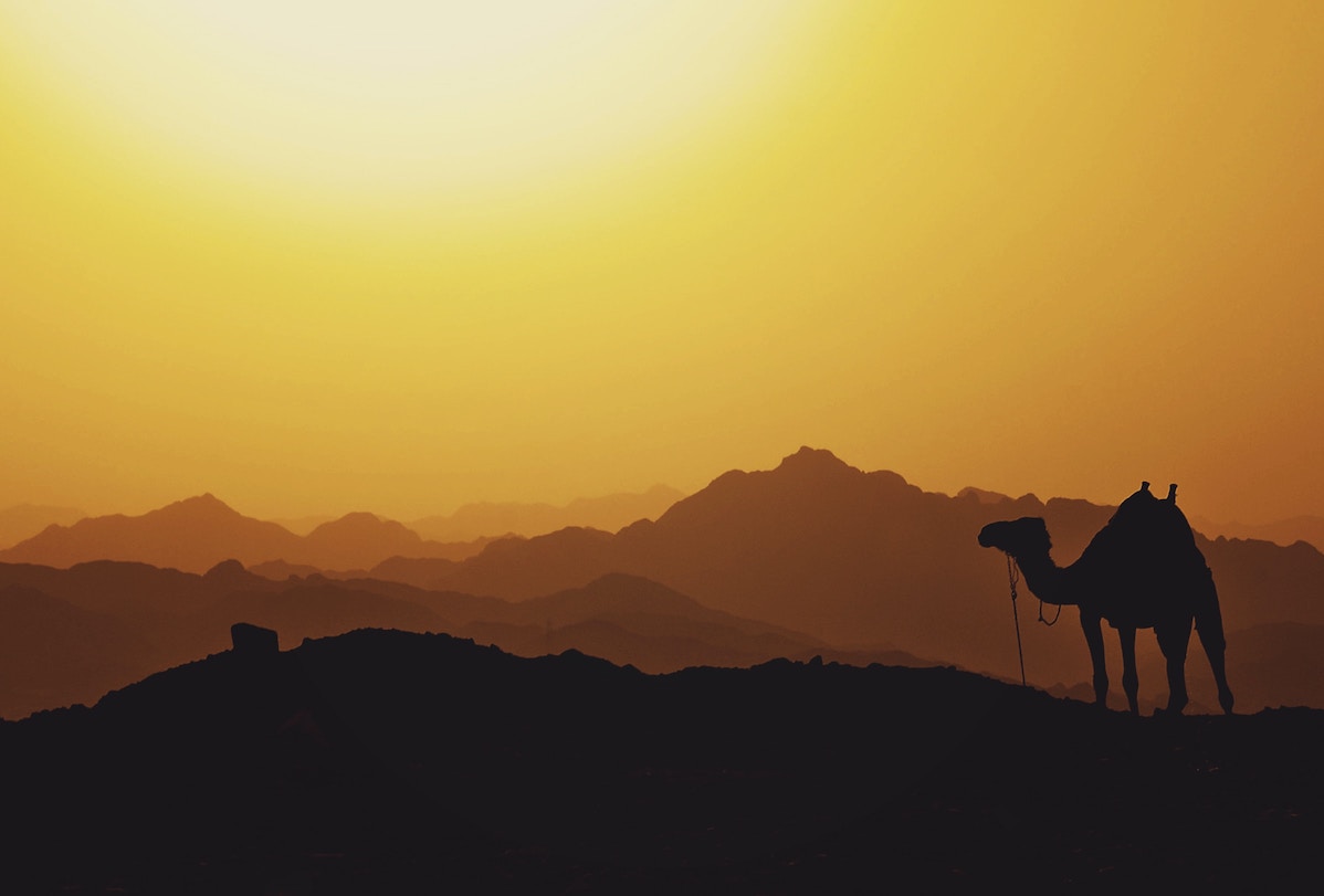 Why Does John the Baptizer Look Like a Camel?