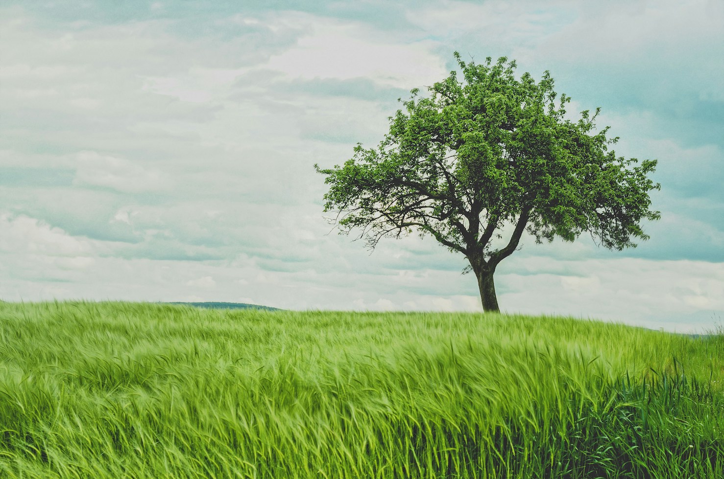 A Sabbath Conversation: How Old is the Earth?