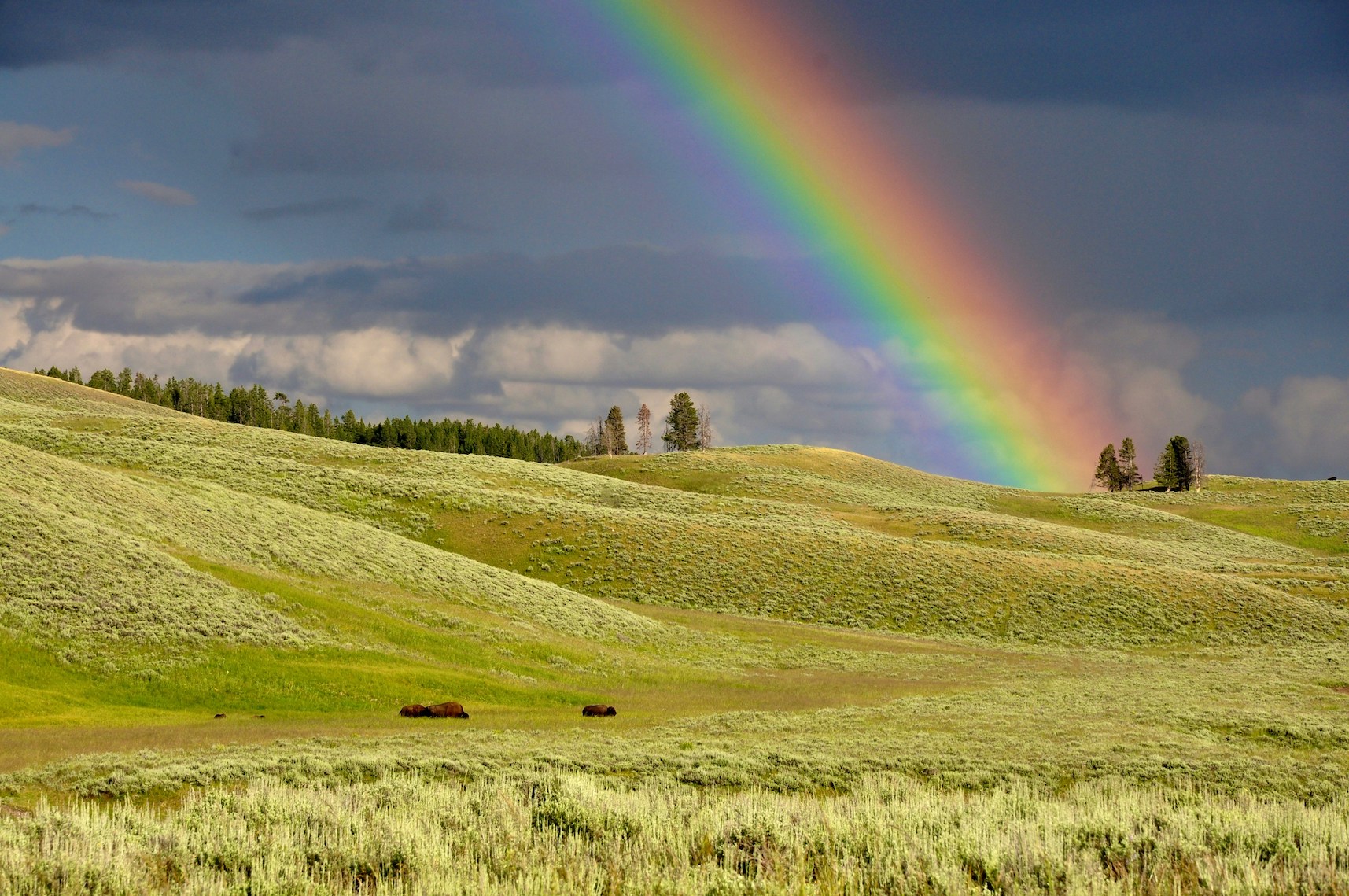DO THIS AS MY MEMORIAL: Understanding How the Lord’s Supper Reminds God to Keep Covenant