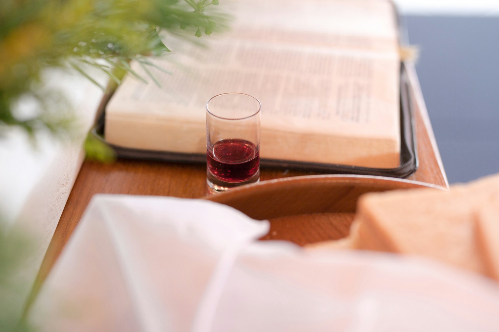 You and Your Son and Daughter: Christ’s Communion with Young Children