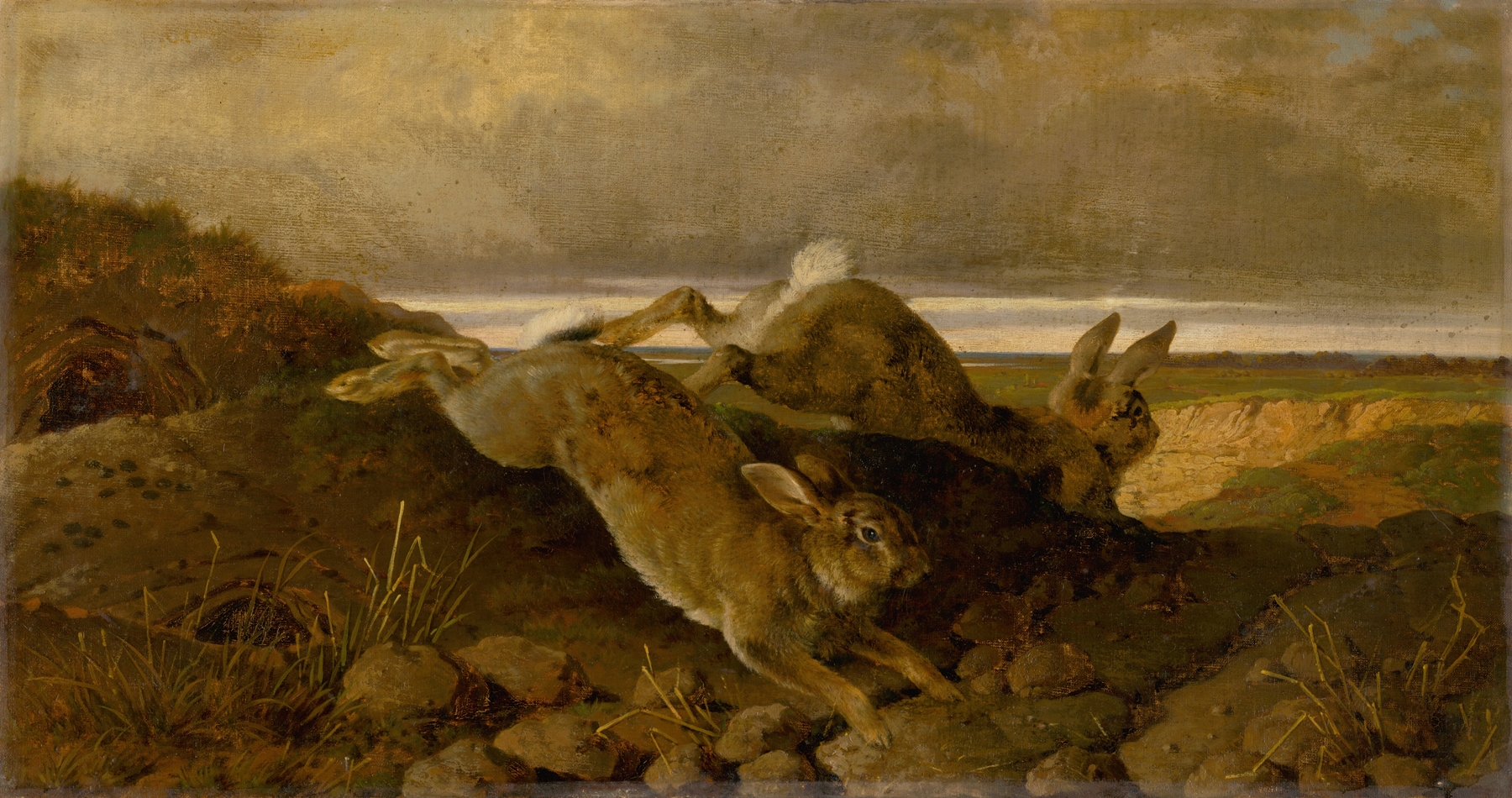 Lessons from Watership Down: What Rabbits Can Teach the Church